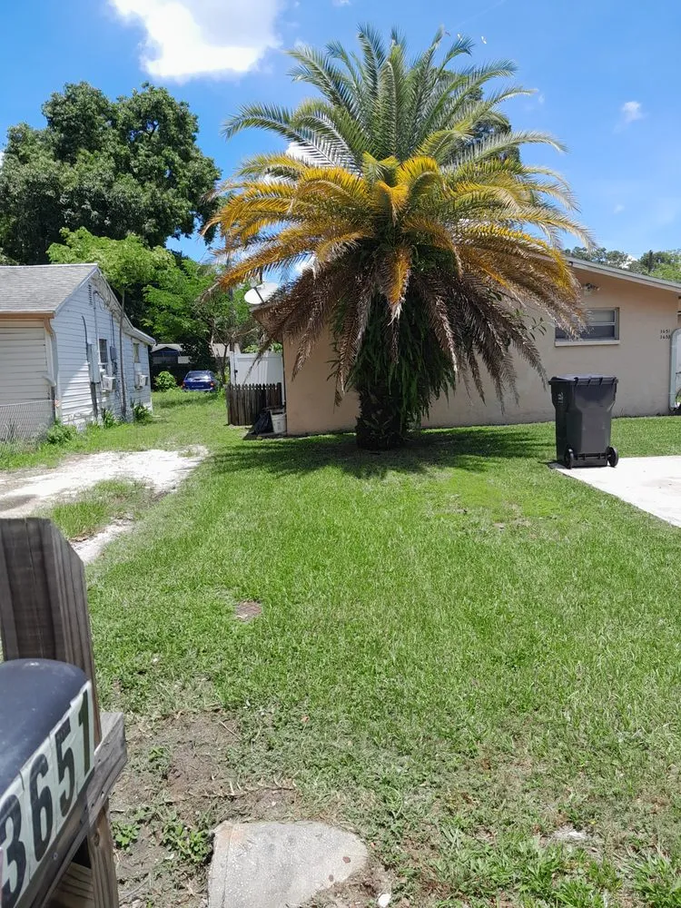 Professional landscape installation in St. Petersburg, FL by Veryvividglaze Landscaping