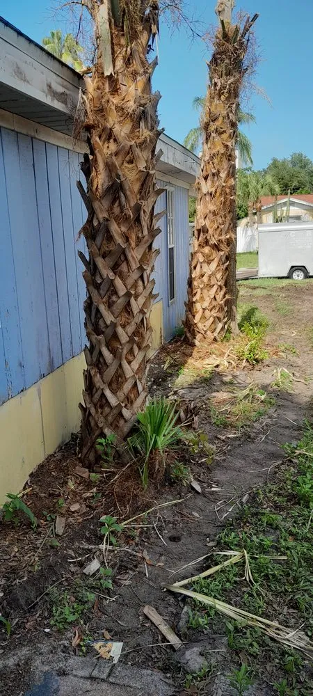 Local lawn mowing service in St. Petersburg, FL - Veryvividglaze Landscaping