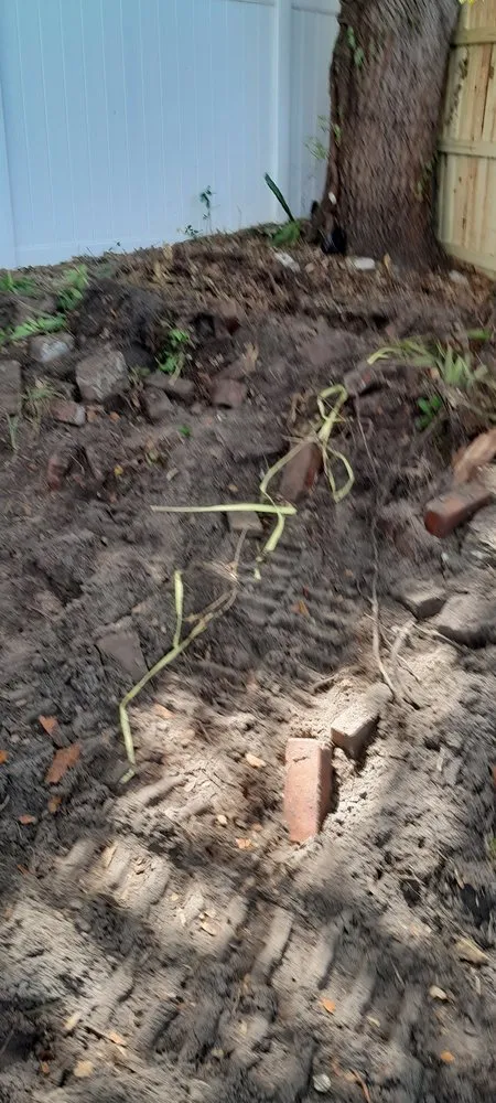 Top-rated residential landscaping in St. Petersburg, FL by Veryvividglaze Landscaping