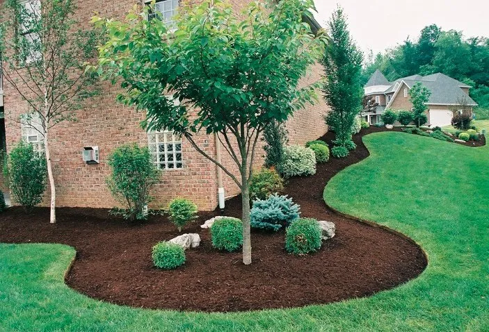 Local lawn care service experts serving Limestone, TN - Vest Lawn Care and Landscaping