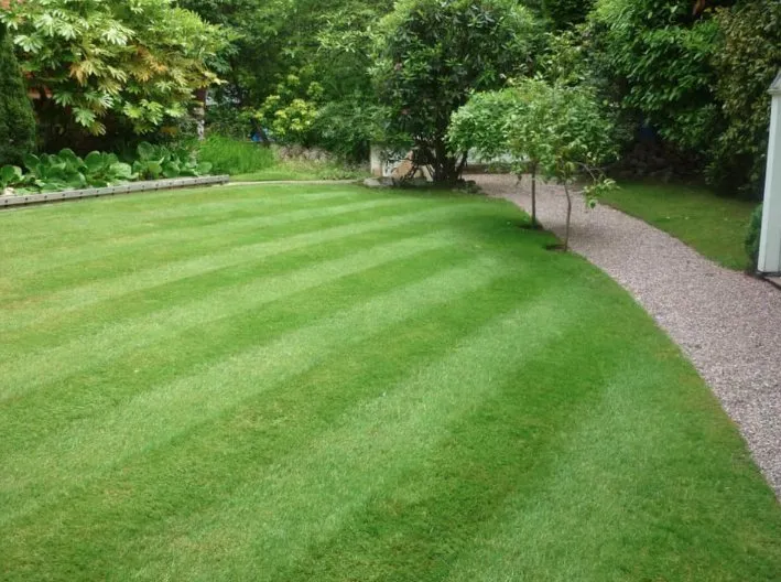 Trusted residential landscaping for outdoor upgrades in Limestone, TN by Vest Lawn Care and Landscaping