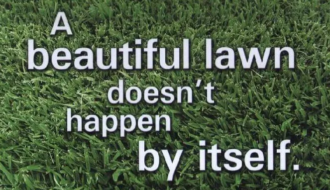 Affordable landscaping services for residential properties in Limestone, TN by Vest Lawn Care and Landscaping