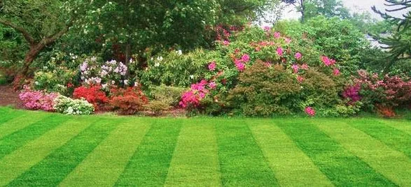 Local outdoor landscaping experts serving Limestone, TN - Vest Lawn Care and Landscaping