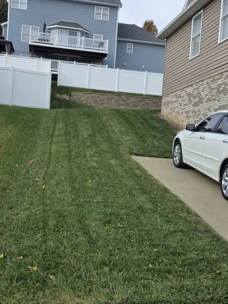 Reliable yard cleanup service in Morgantown, WV - Vet 2 Veterans Enterprise