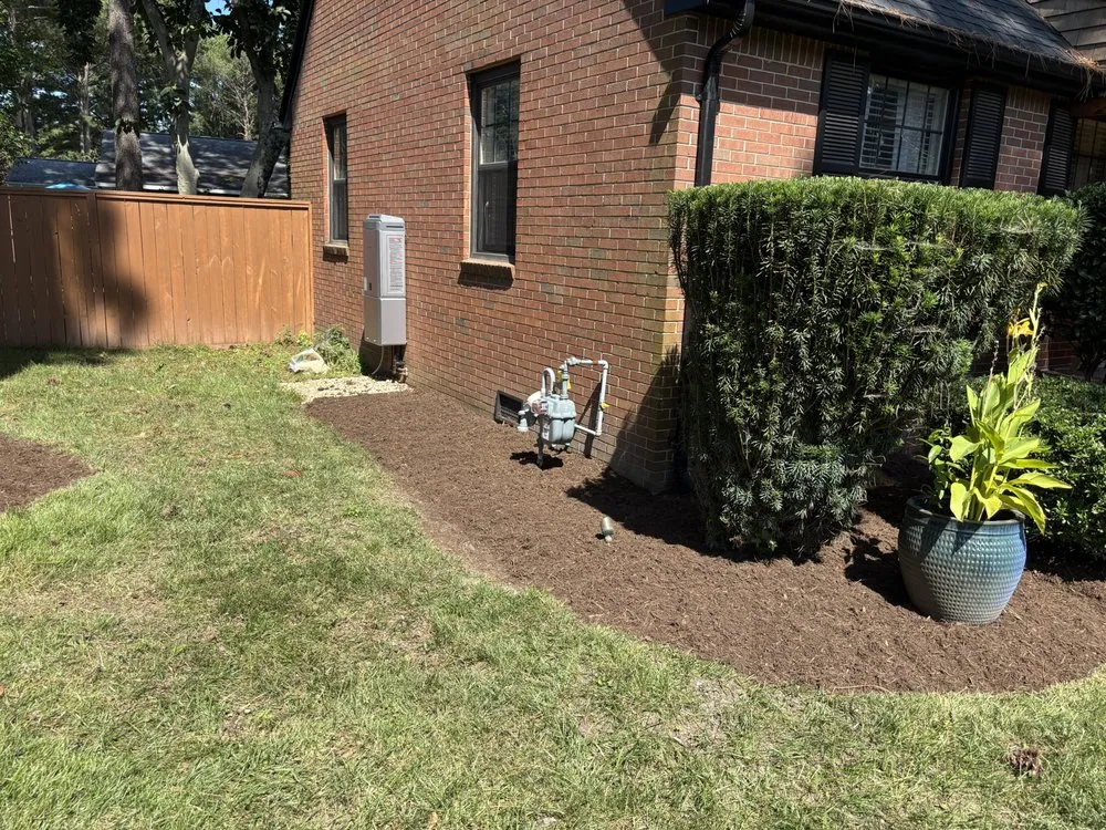 Affordable yard cleanup service in Virginia Beach, VA - Vet 214 Cuts