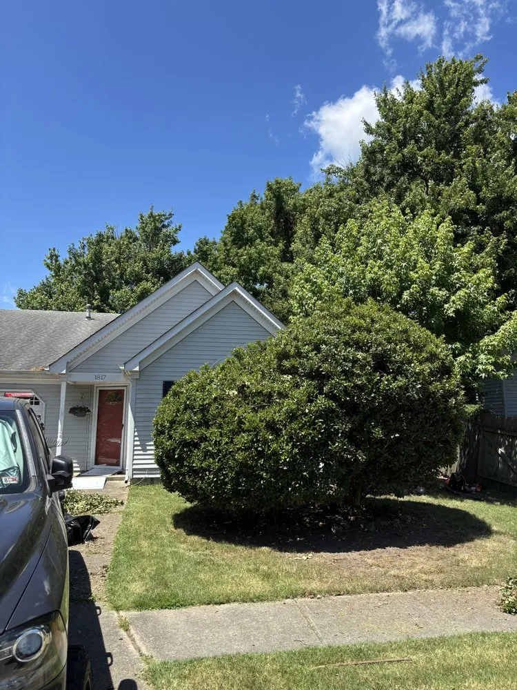 Expert yard cleanup service in Virginia Beach, VA by Vet 214 Cuts