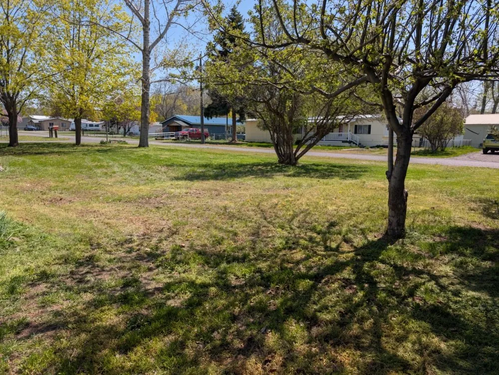 Local yard maintenance experts serving La Grande, OR - VetClips Lawn Care