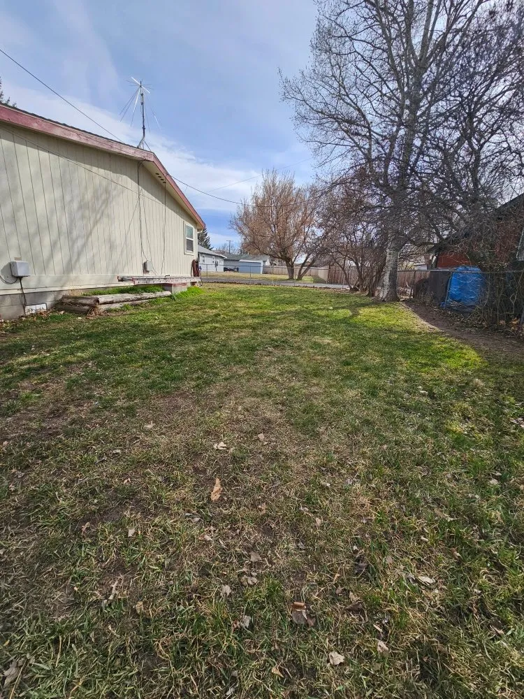 Expert yard cleanup service in La Grande, OR by VetClips Lawn Care