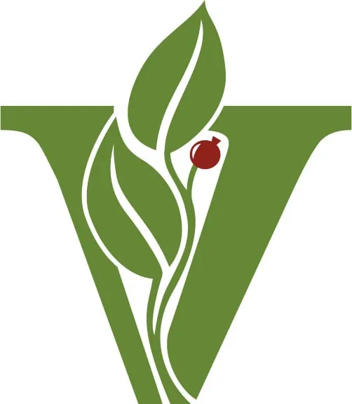 Top-rated yard maintenance near you in Pembroke, MA by Vetelino