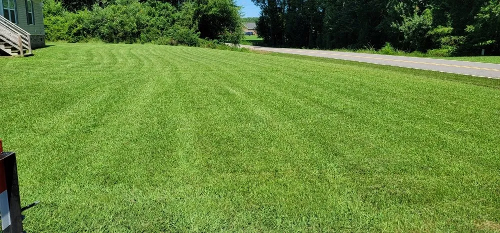 Expert lawn care service in Hertford, NC - Veteran & Veterans Incorporated