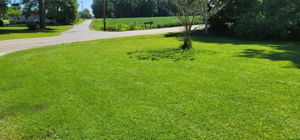 Professional landscaping services in Hertford, NC by Veteran & Veterans Incorporated