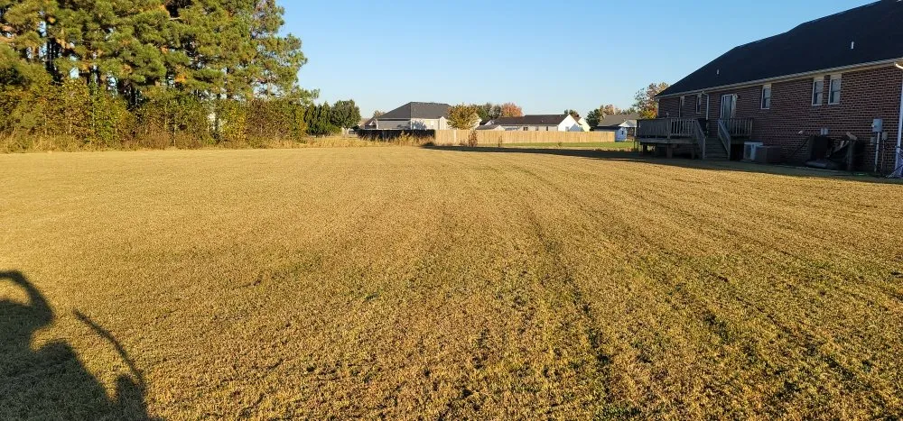 Expert lawn care service experts serving Hertford, NC - Veteran & Veterans Incorporated