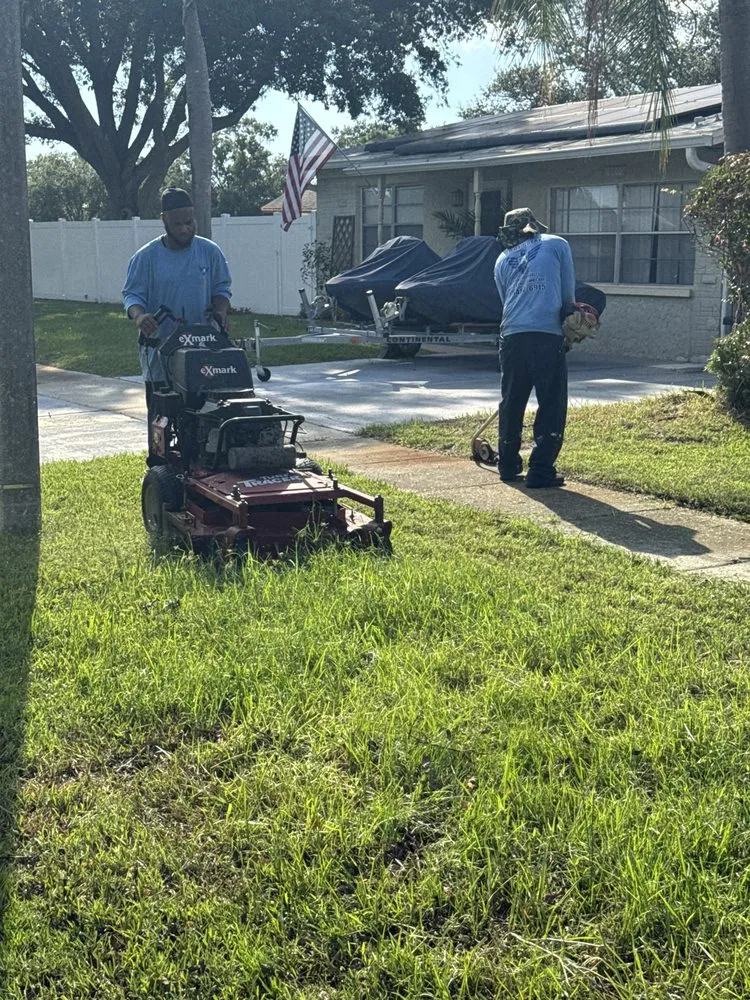 Trusted yard maintenance experts serving St. Petersburg, FL - Veteran Authority