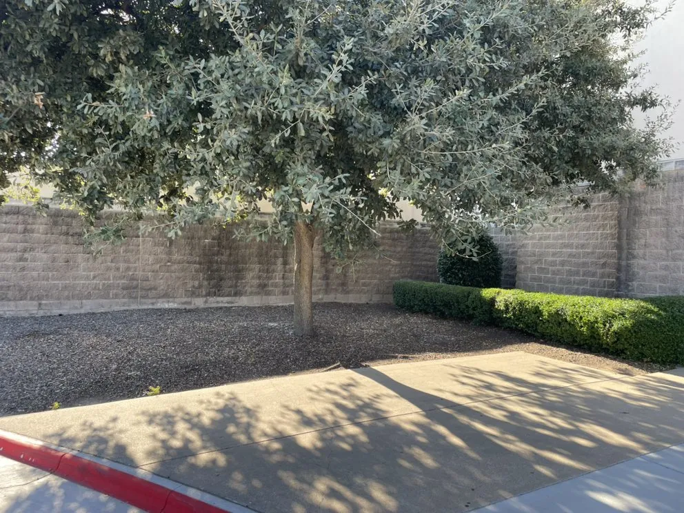 Reliable landscape installation experts serving McKinney, TX - Veteran Brothers Lawn Care