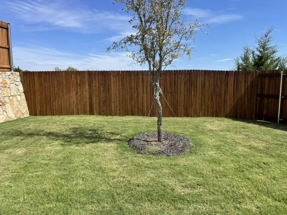 Professional yard maintenance in McKinney, TX - Veteran Brothers Lawn Care