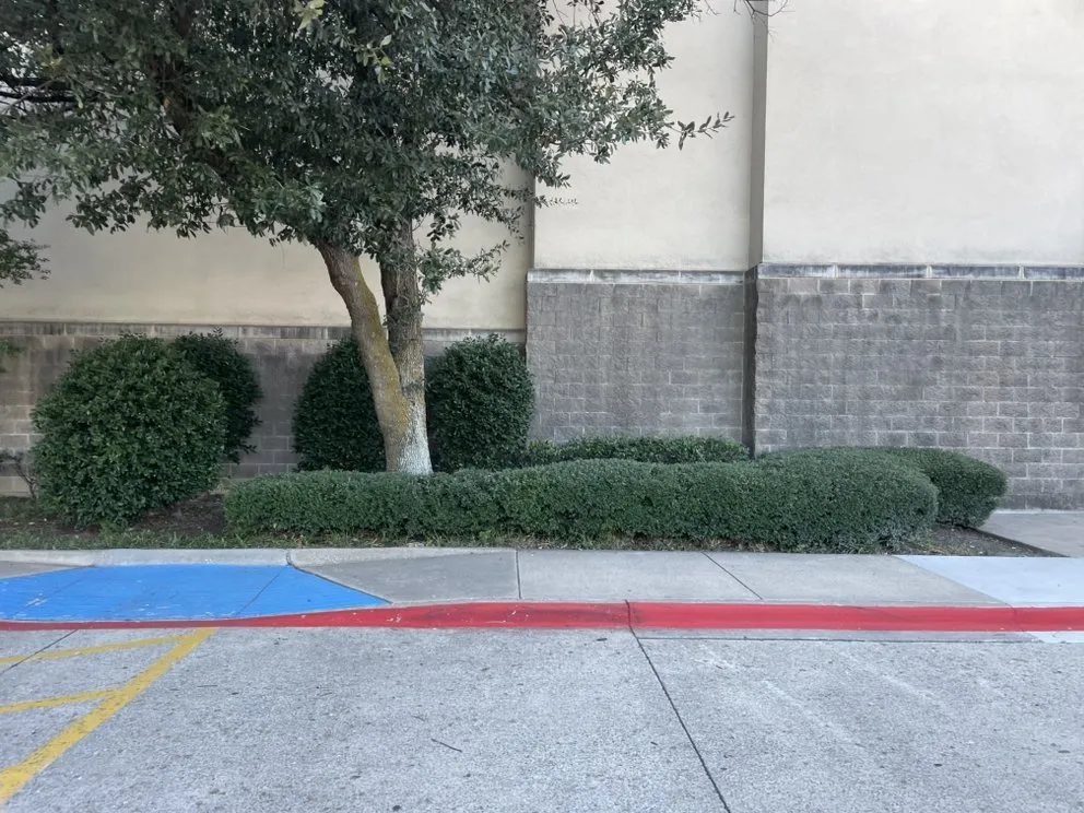 Reliable landscaping services with custom design across McKinney, TX - Veteran Brothers Lawn Care