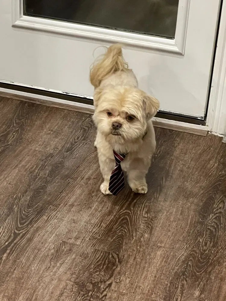 Trusted yard cleanup service in McKinney, TX by Veteran Brothers Lawn Care