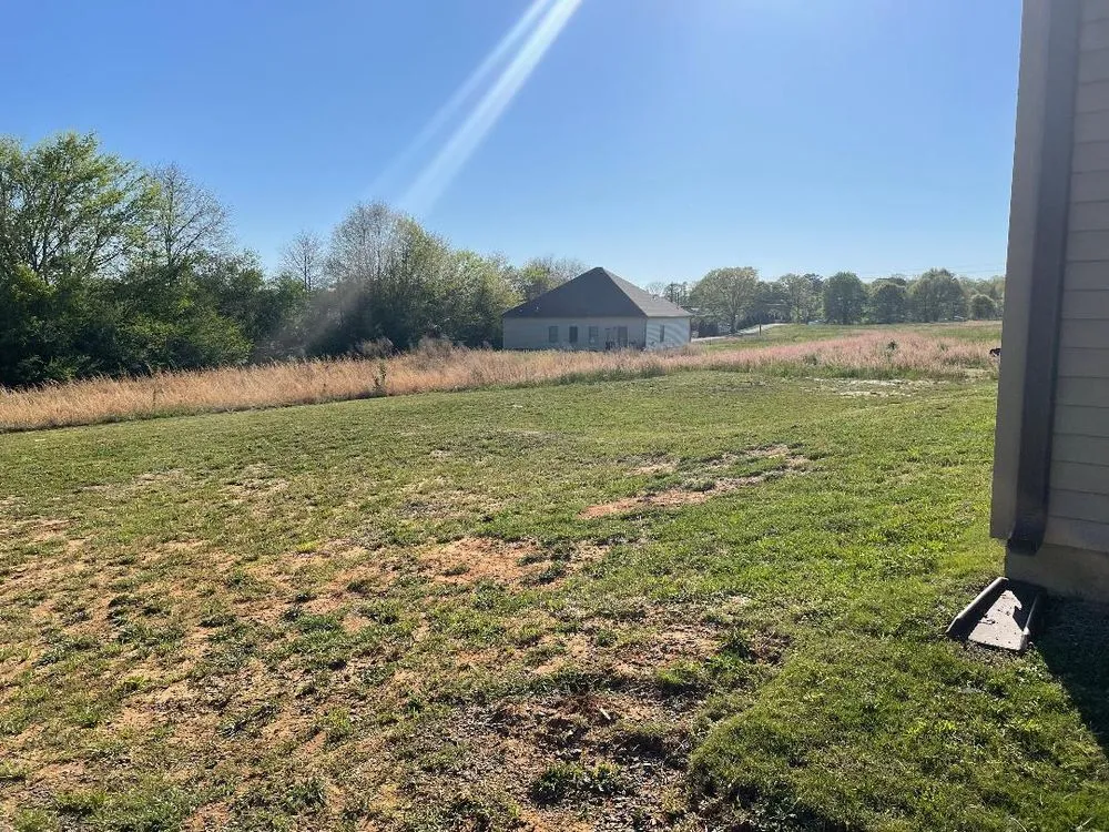 Custom landscape installation in Jasper, AL by Veteran Cut Lawn Care