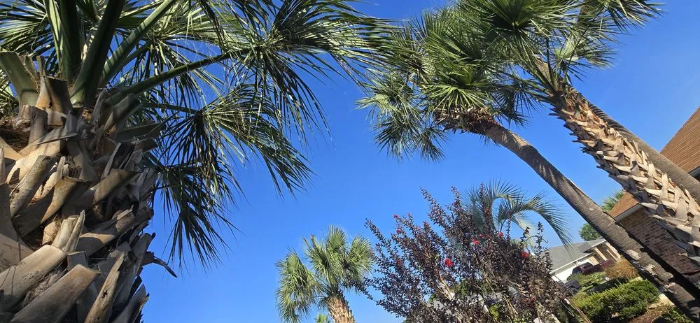 Trusted lawn care service experts serving Pensacola, FL - Veteran Greens