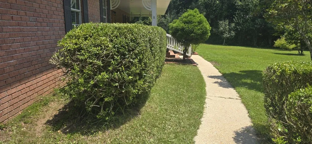 Trusted yard maintenance in Pensacola, FL - Veteran Greens