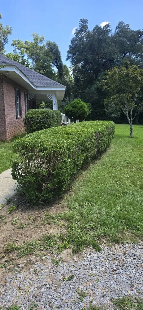 Local yard cleanup service for homes across Pensacola, FL - Veteran Greens
