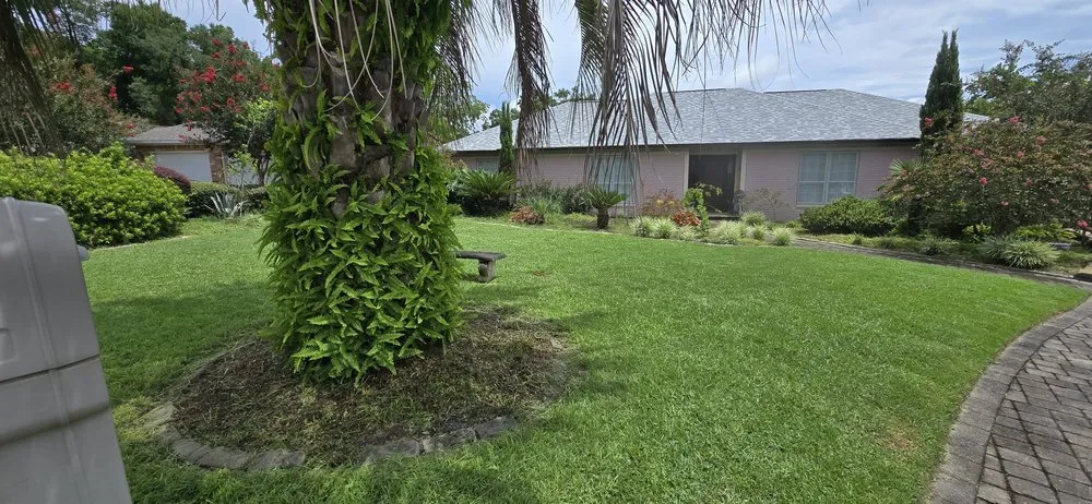 Affordable lawn mowing service in Pensacola, FL - Veteran Greens