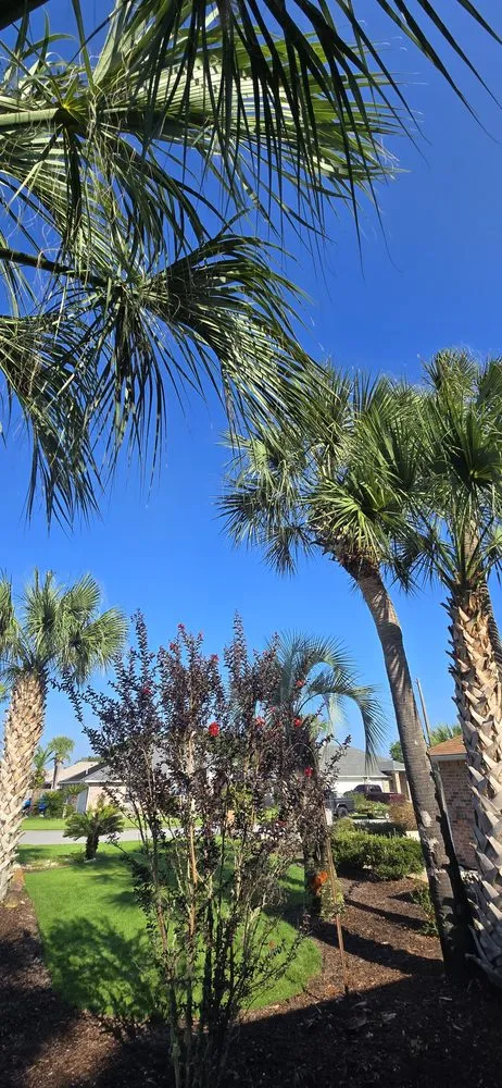 Professional garden landscaping experts serving Pensacola, FL - Veteran Greens