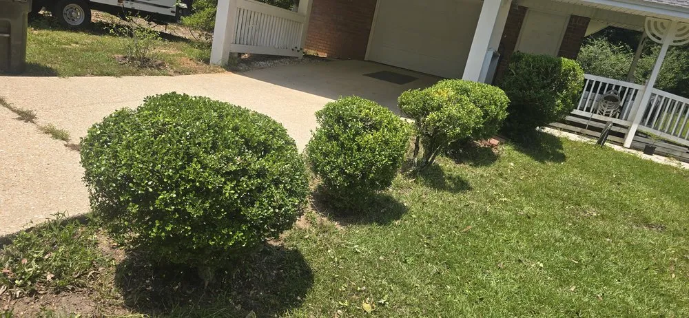 Trusted landscape installation in Pensacola, FL by Veteran Greens