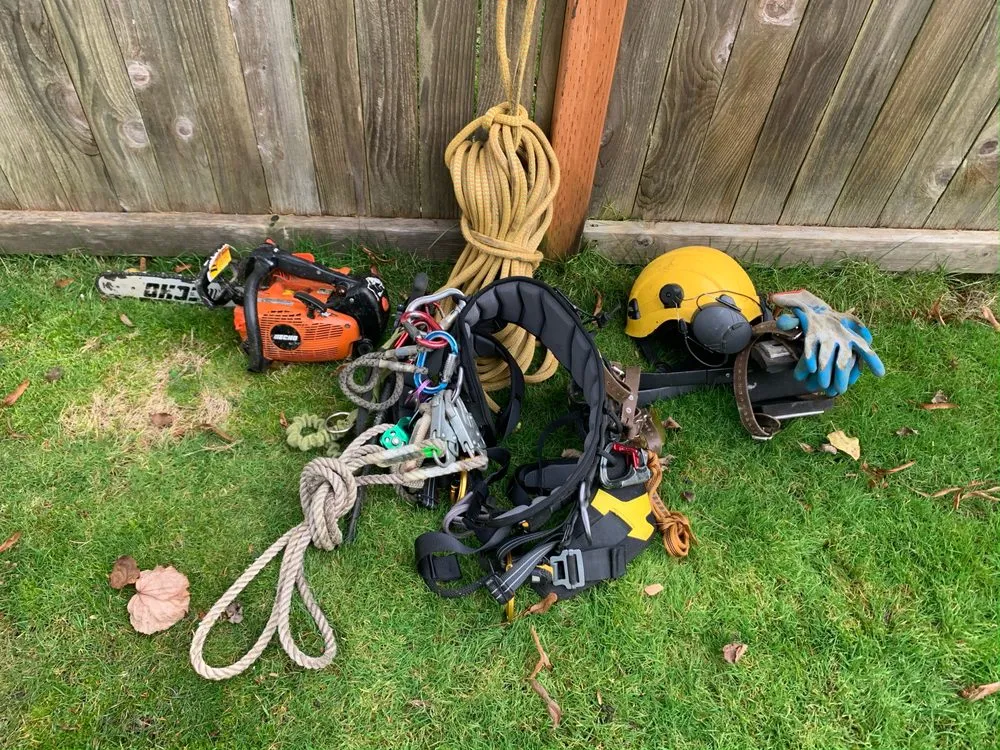 Affordable landscaping services in Collierville, TN by Veteran Landscape and Tree Service