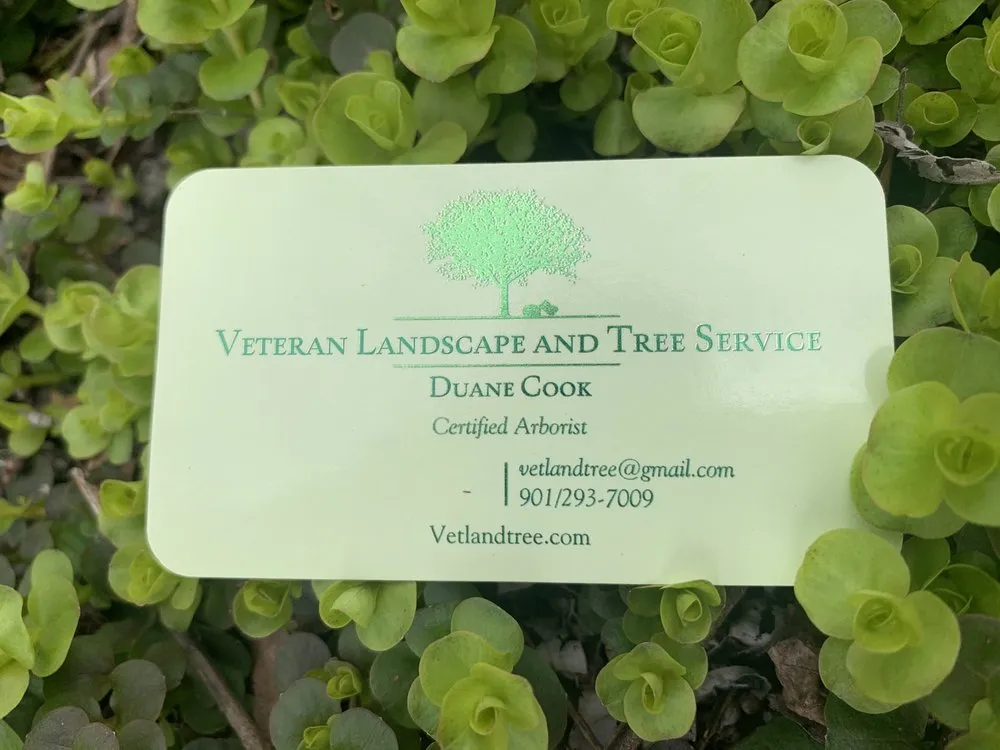 Professional garden landscaping in Collierville, TN by Veteran Landscape and Tree Service