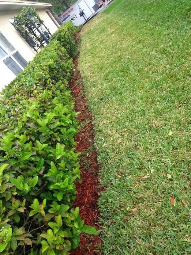 Reliable outdoor landscaping for residential properties in Riverview, FL by Veteran Landscape