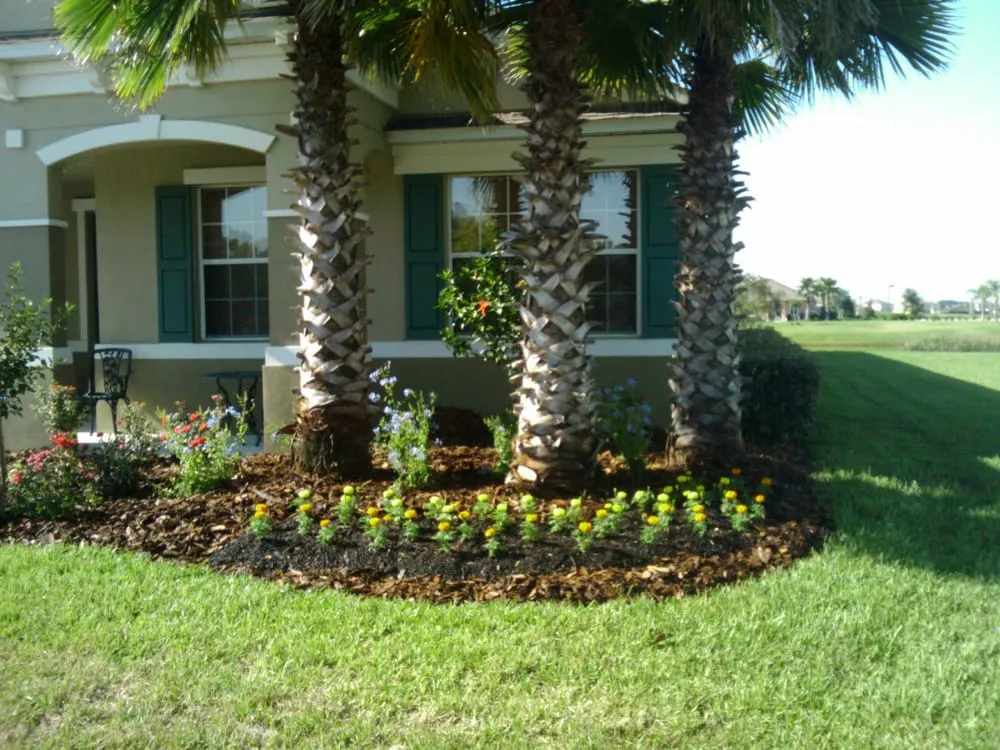 Custom landscape design experts serving Riverview, FL - Veteran Landscape