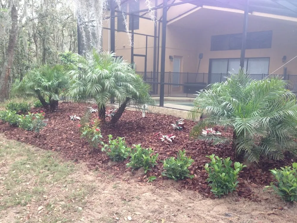 Local residential landscaping in Riverview, FL - Veteran Landscape