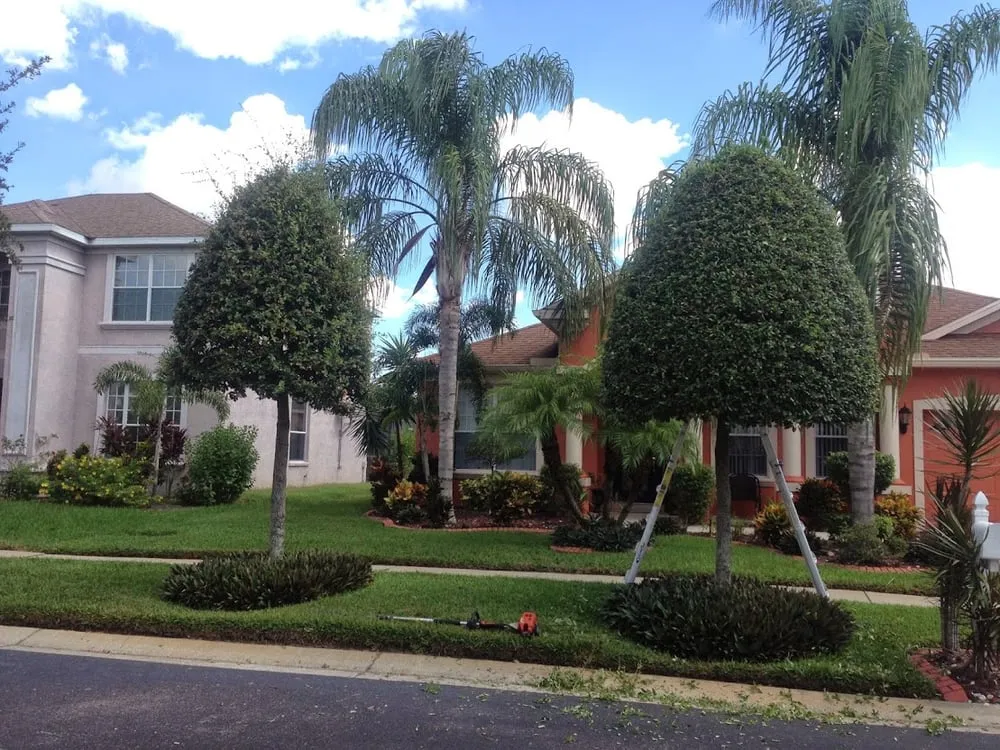 Reliable outdoor landscaping experts serving Riverview, FL - Veteran Landscape