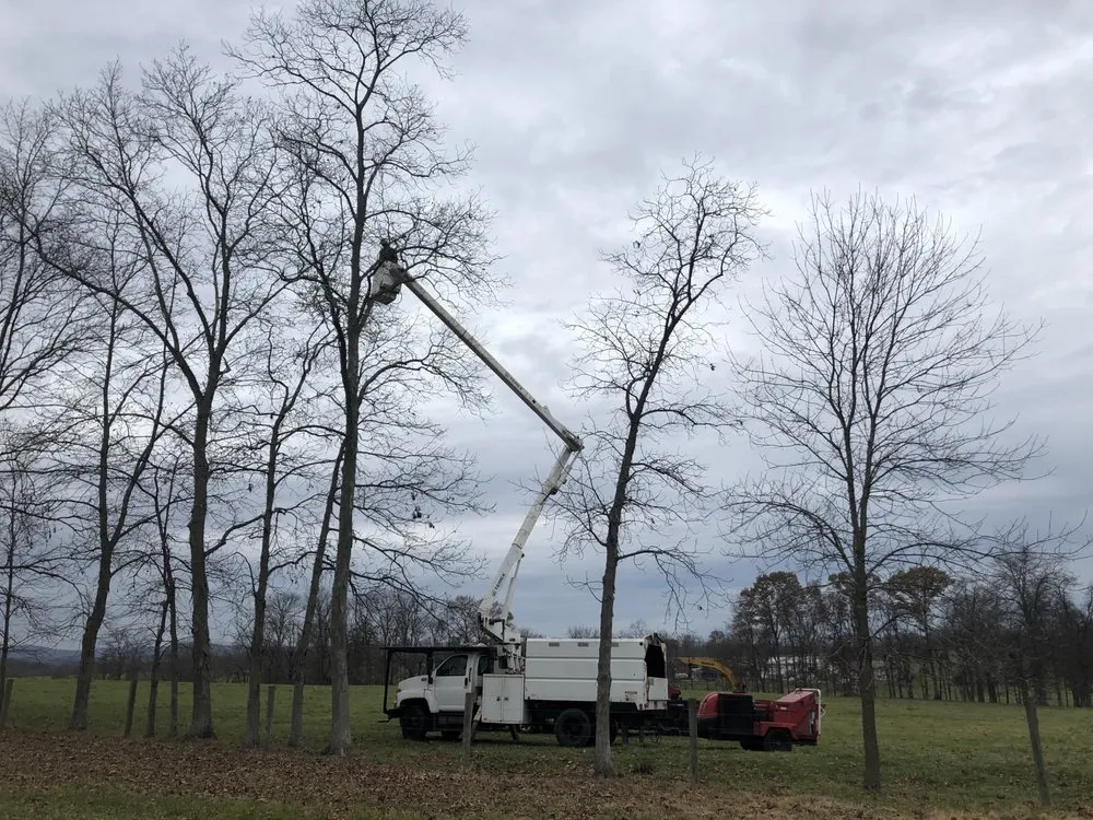 Top-rated landscape design in Elkton, MD - Veteran Landscape Tree Service