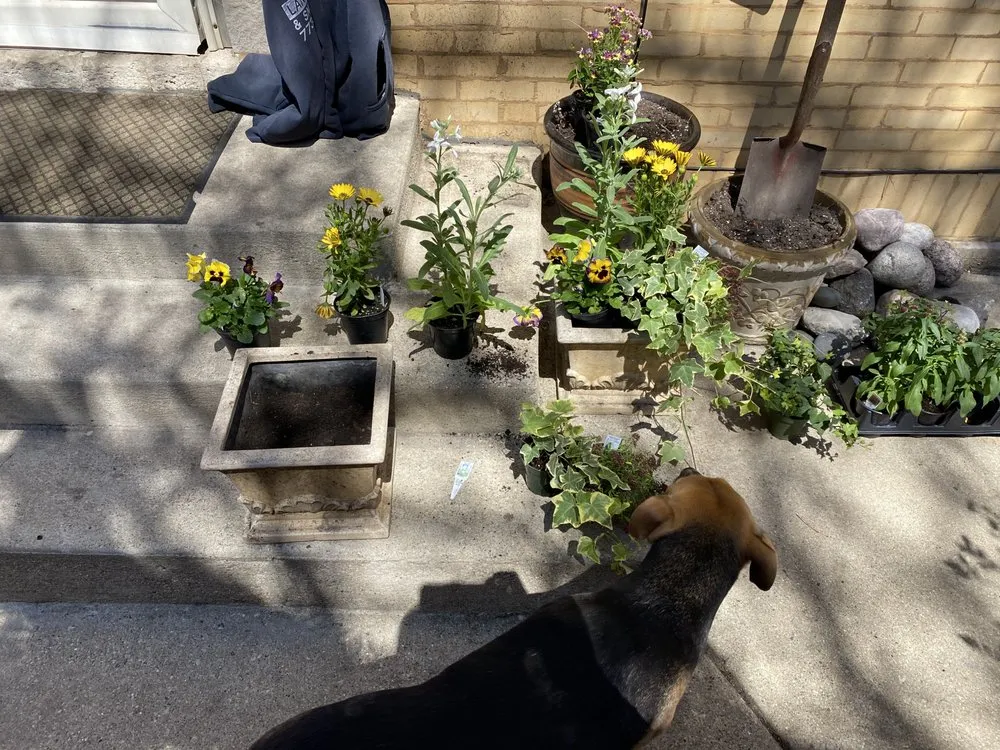 Expert landscape design experts serving Chicago, IL - Veteran Landscapes