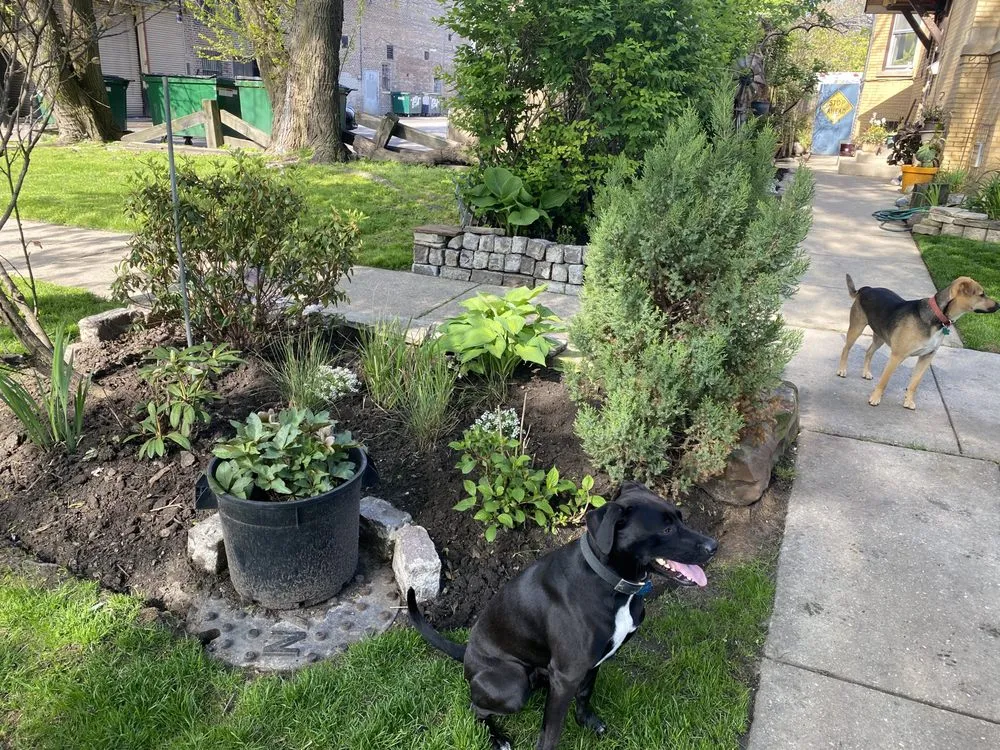 Professional residential landscaping experts serving Chicago, IL - Veteran Landscapes