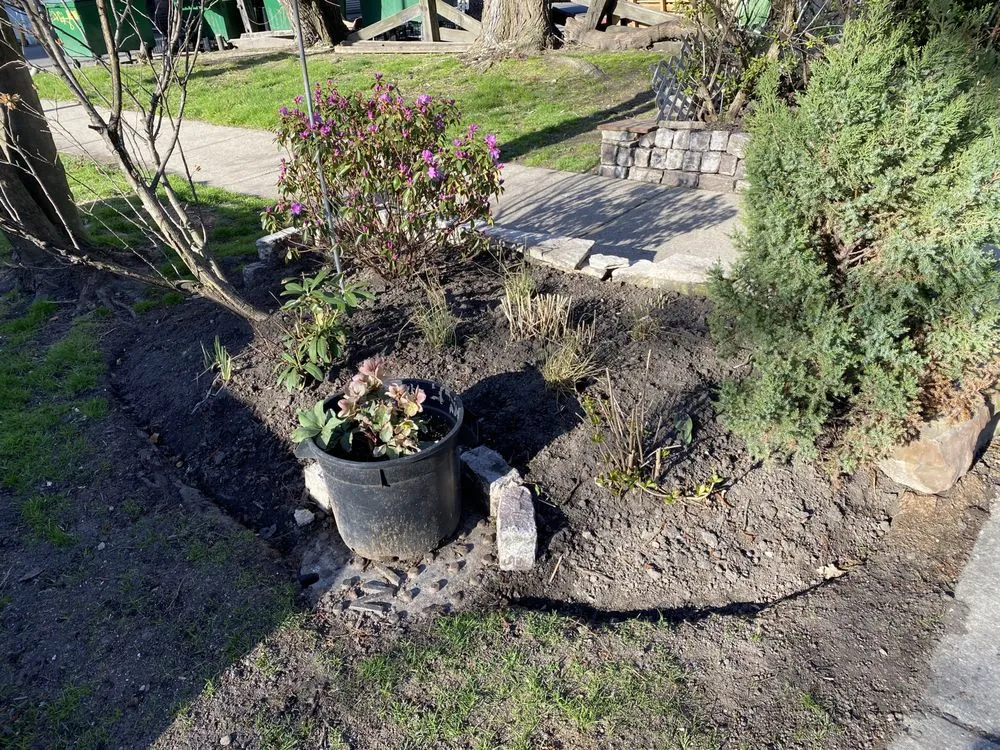 Professional yard maintenance for beautiful yards across Chicago, IL - Veteran Landscapes