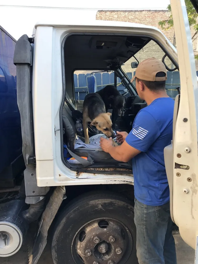 Affordable lawn care service in Chicago, IL by Veteran Landscapes