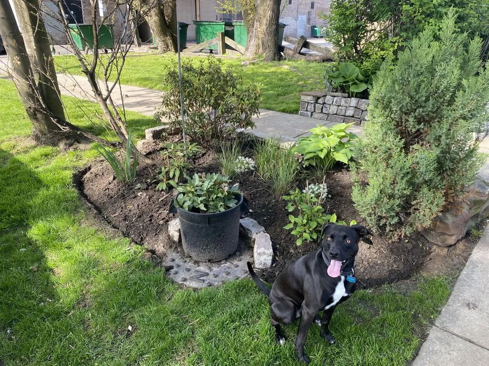 Trusted residential landscaping in Chicago, IL by Veteran Landscapes