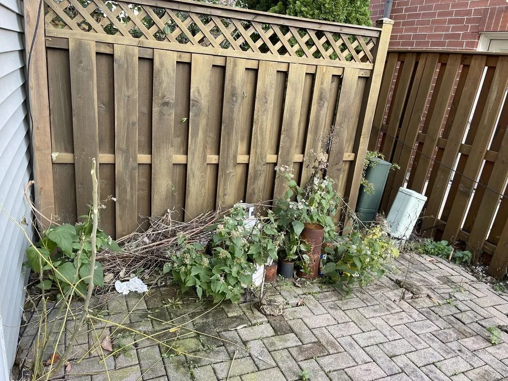 Custom yard maintenance in Chicago, IL - Veteran Landscapes