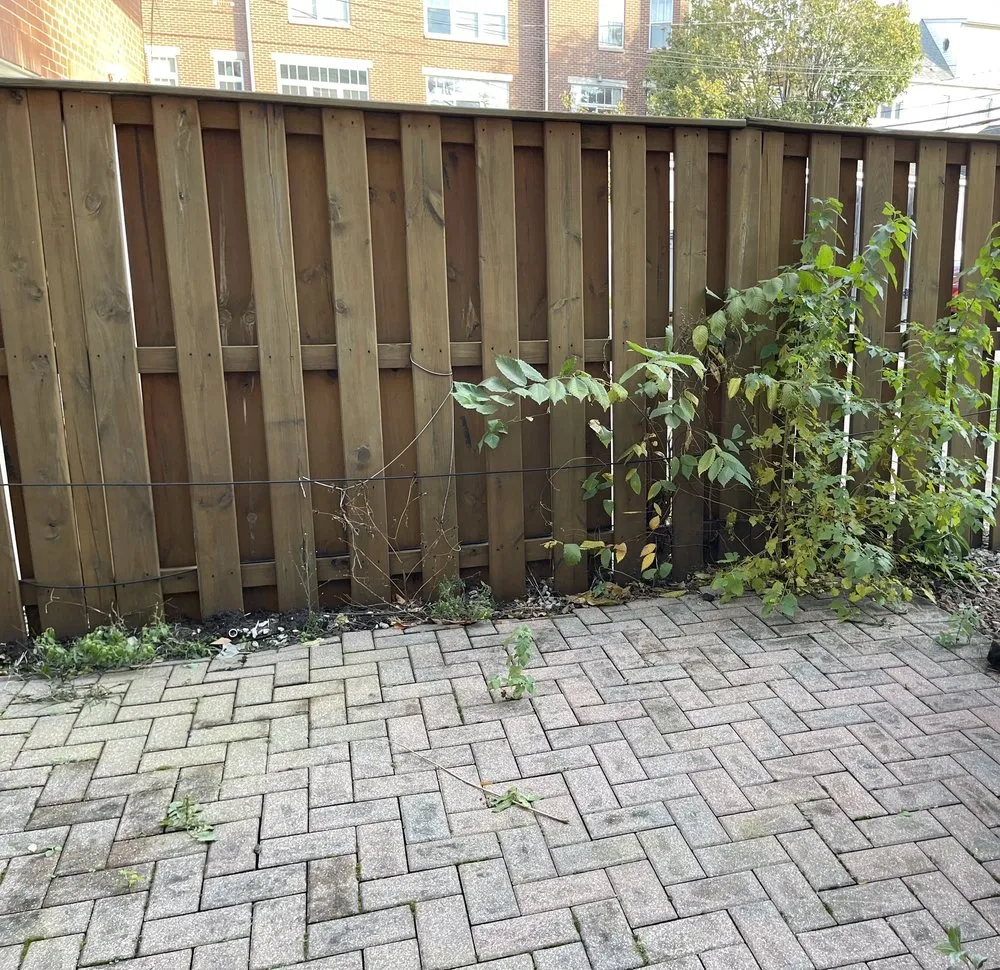 Top-rated lawn mowing service for outdoor upgrades in Chicago, IL by Veteran Landscapes