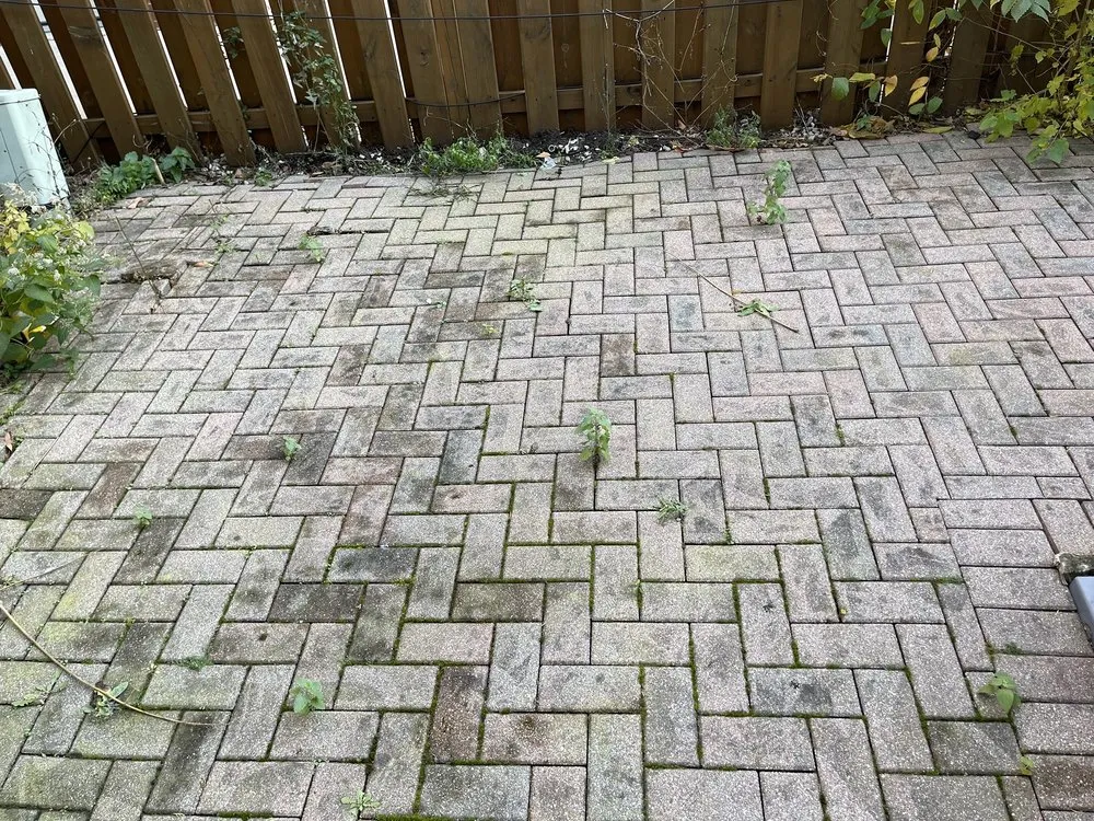 Reliable lawn care service for residential properties across Chicago, IL - Veteran Landscapes