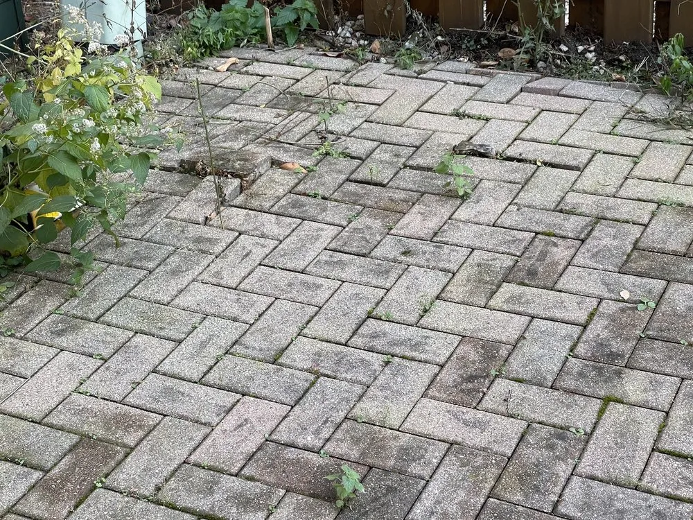 Top-rated residential landscaping in Chicago, IL by Veteran Landscapes