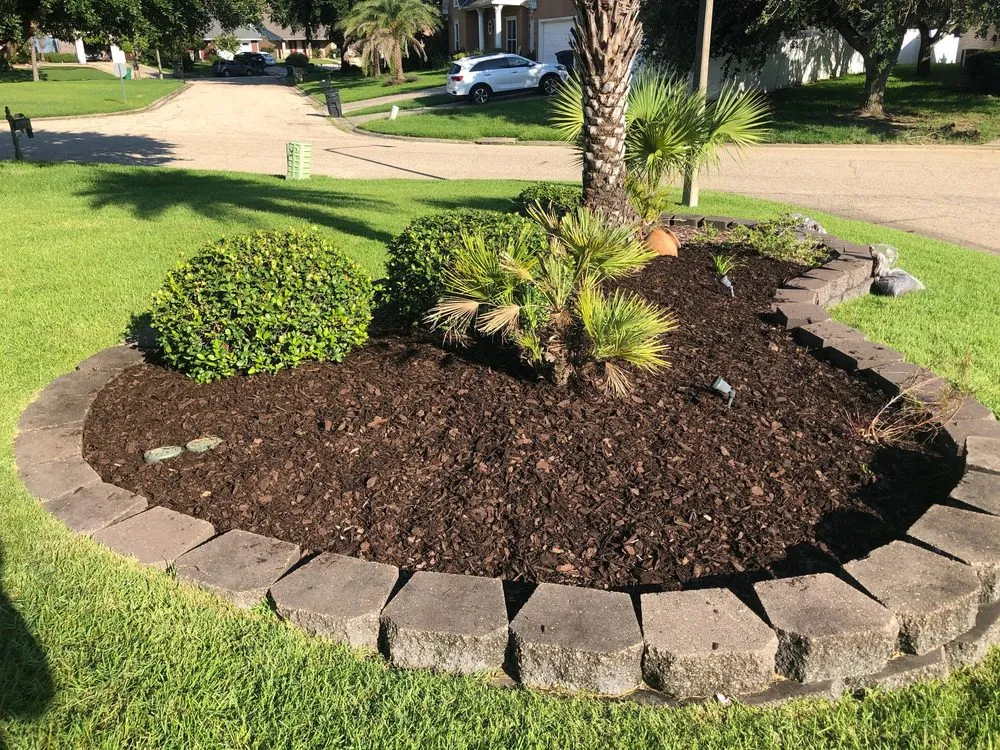 Top-rated landscaping services for year-round maintenance in Kiln, MS by Veteran Landscaping