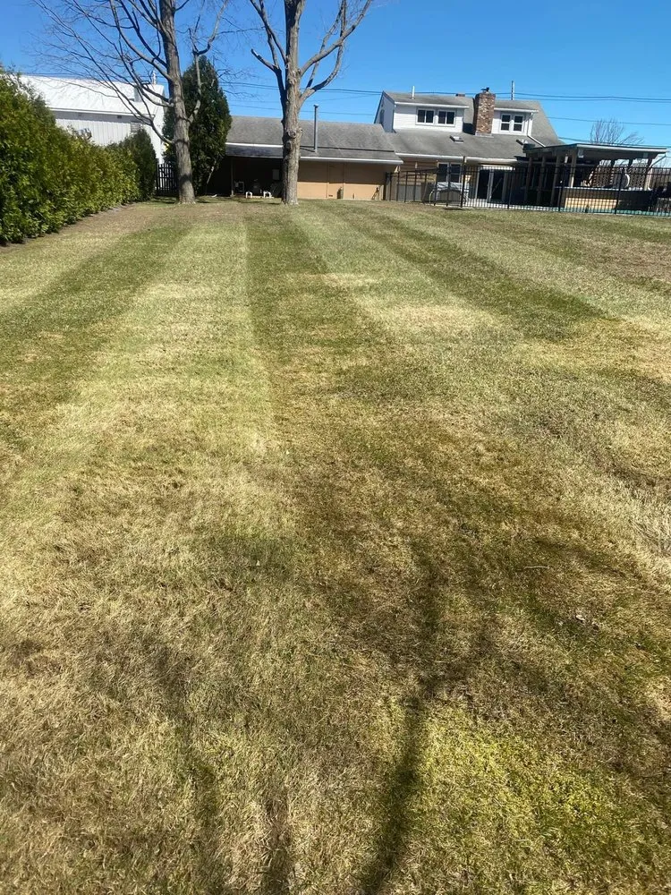 Top-rated lawn care service in Southampton, MA - Veteran Lawn and Landscape