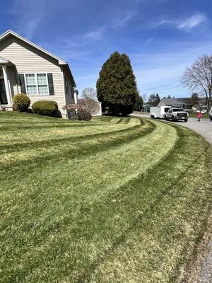 Veteran Lawn and Landscape
