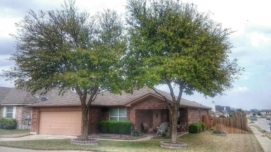 Reliable yard maintenance for year-round maintenance across Hutto, TX - Veteran Lawn Care & Landscaping