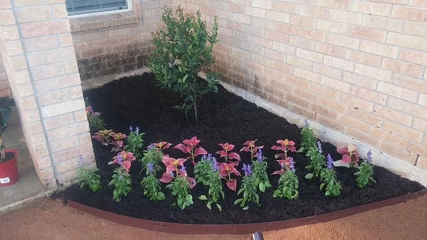 Top-rated outdoor landscaping in Hutto, TX - Veteran Lawn Care & Landscaping