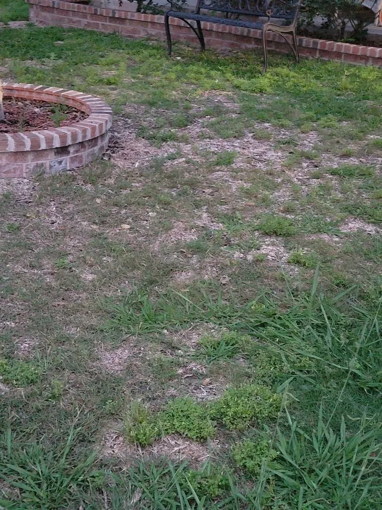 Affordable landscaping services with custom design in Schertz, TX by Veteran Lawn Care